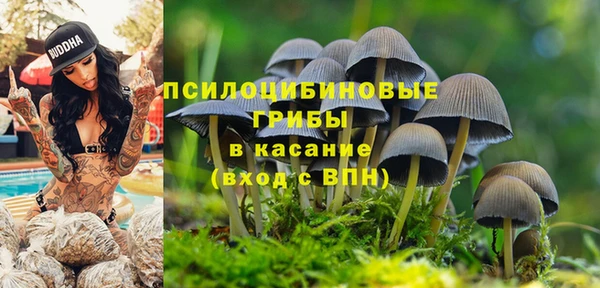 соль курить ск Лиски